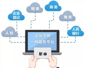 嘉兴市南湖区推出“私人定制”服务，优化企业注销与个人商务服务体验